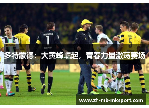 多特蒙德：大黄蜂崛起，青春力量激荡赛场
