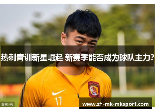 热刺青训新星崛起 新赛季能否成为球队主力？